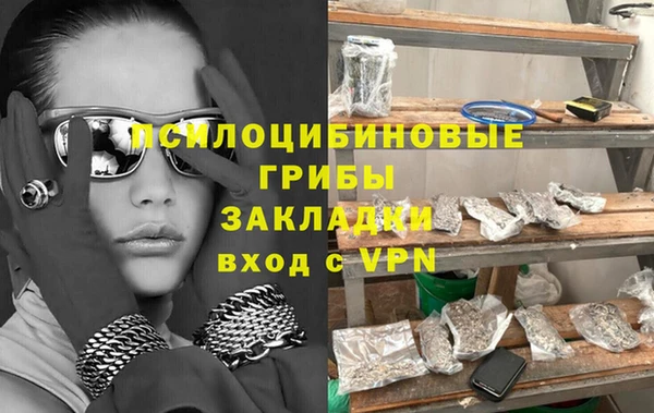 индика Липки