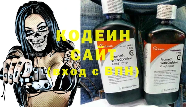 индика Липки